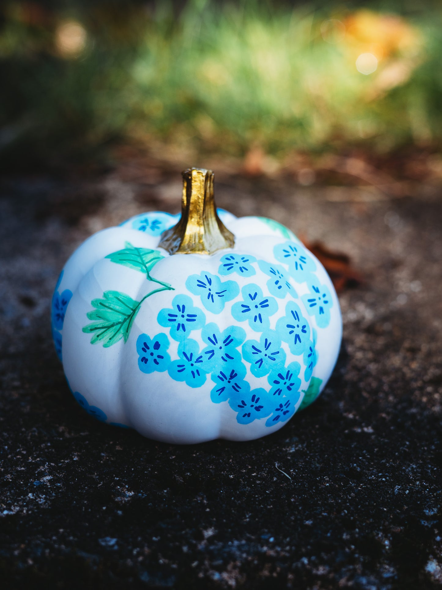 Blue Hydrangea Medium Pumpkin