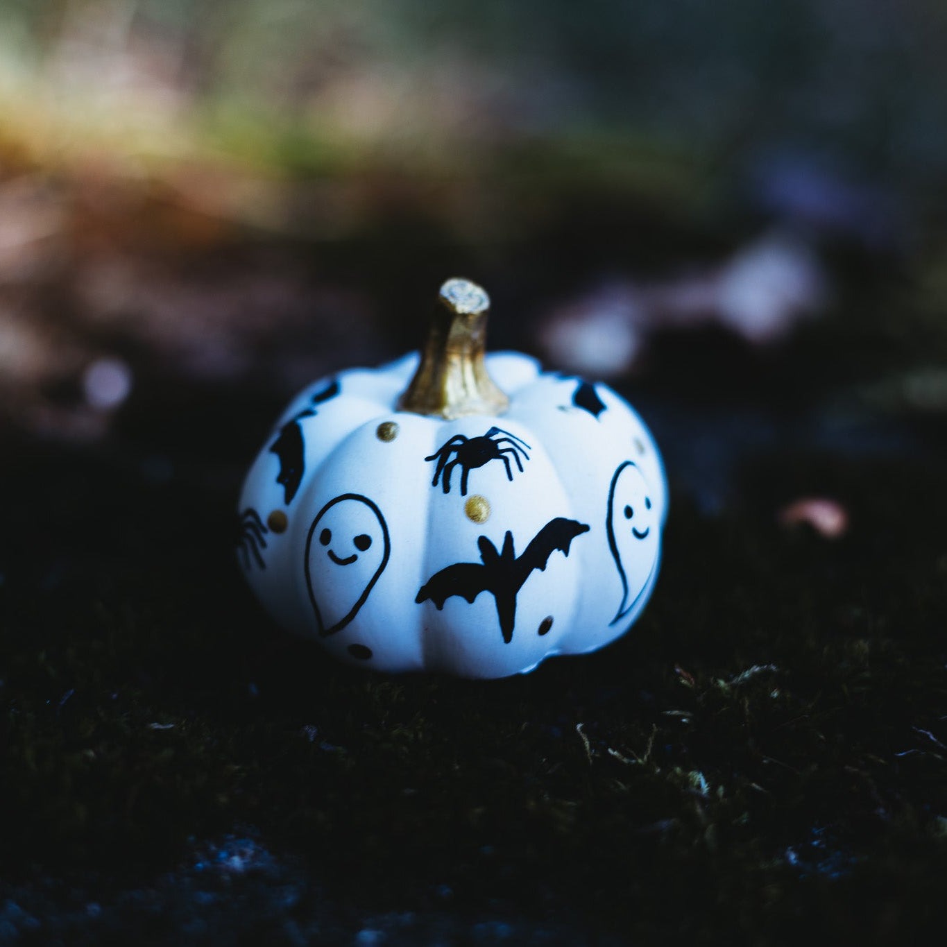 Spooky Black Mini Pumpkin