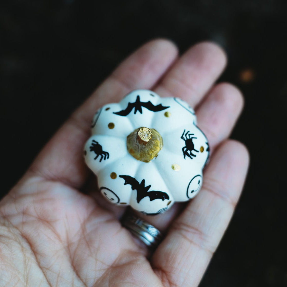 Spooky Black Mini Pumpkin