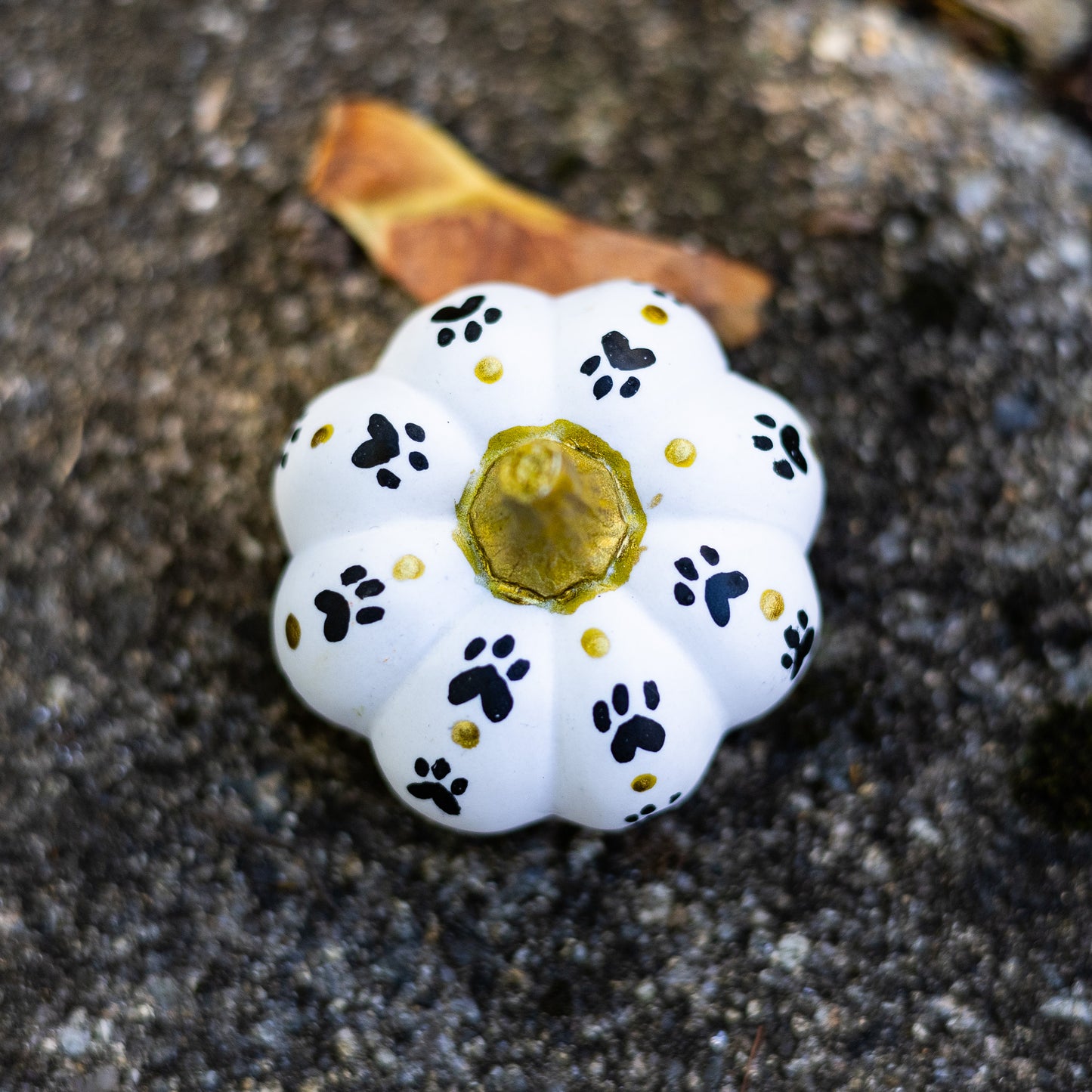 Paw Print Mini Pumpkin