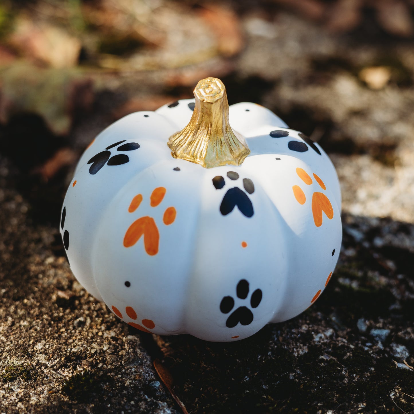 Paw Print Medium Pumpkin