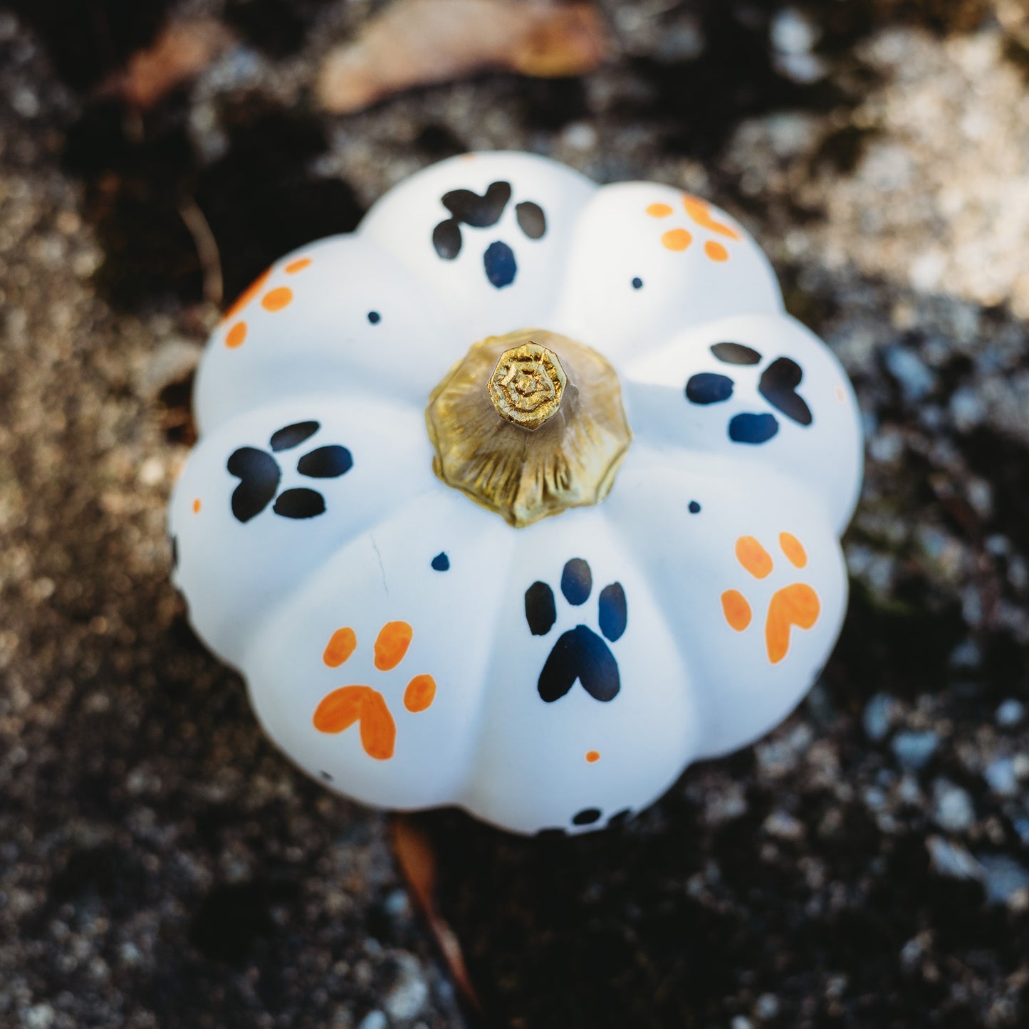 Paw Print Medium Pumpkin