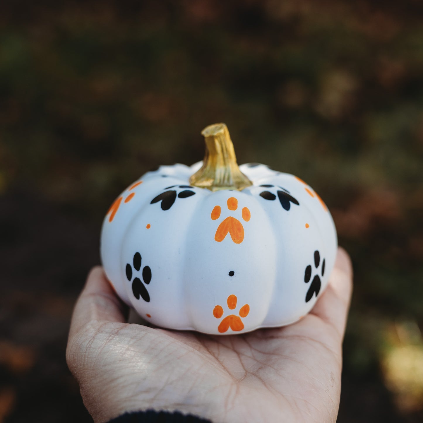 Paw Print Medium Pumpkin