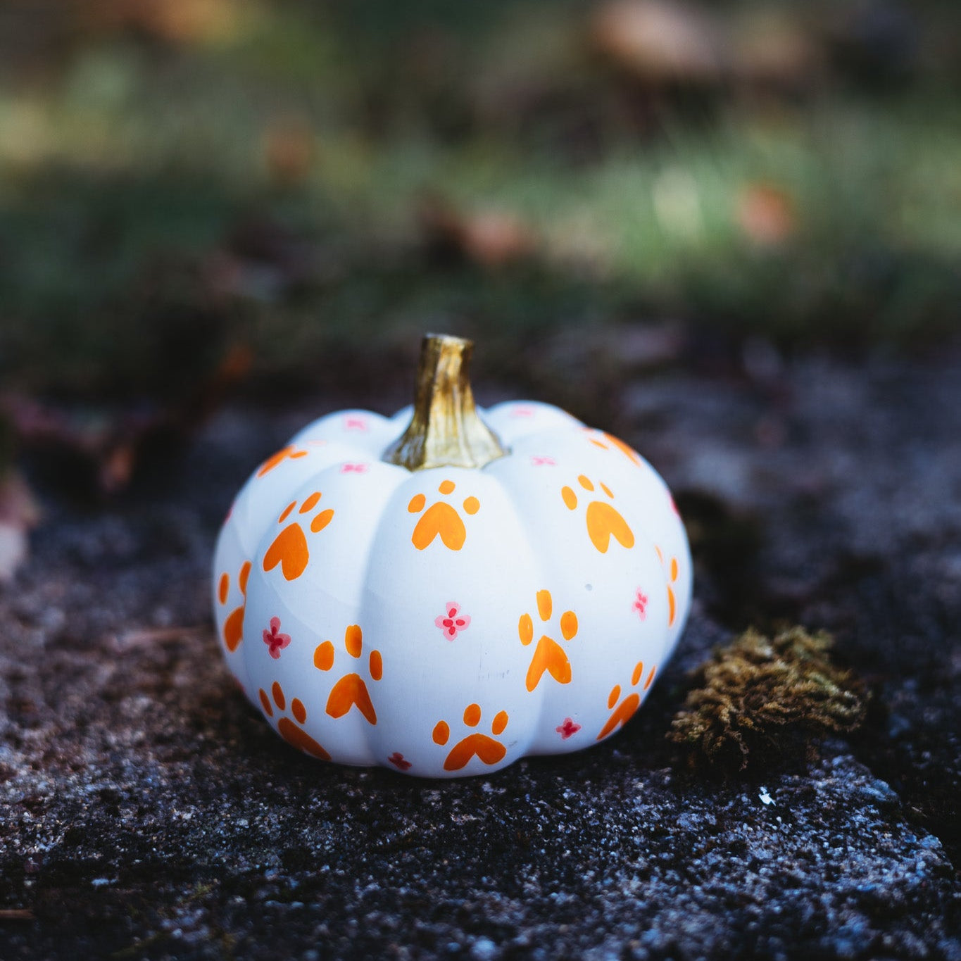Paw Print Medium Pumpkin