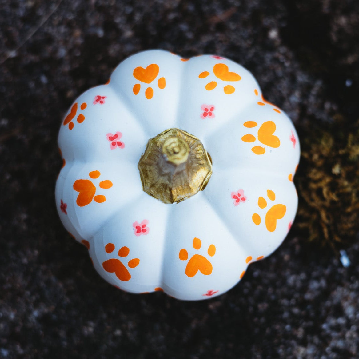 Paw Print Medium Pumpkin