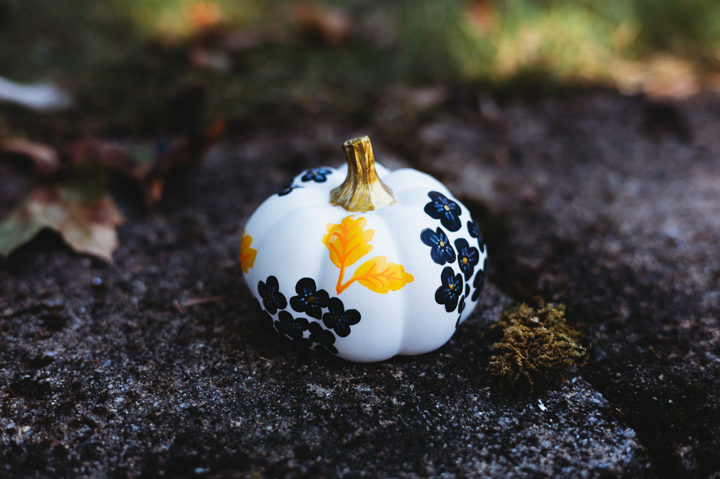 Black Hydrangea Medium Pumpkin