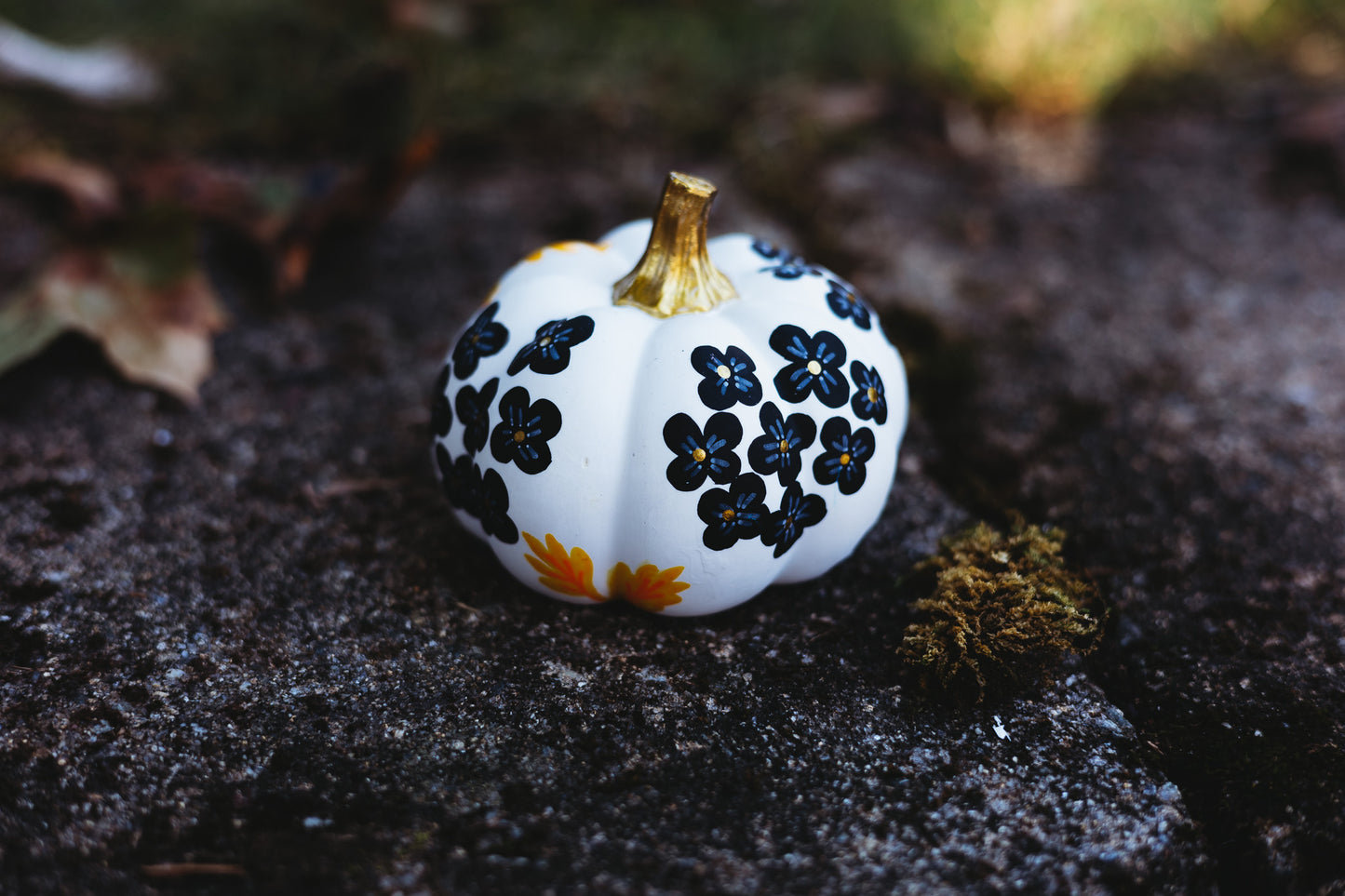 Black Hydrangea Medium Pumpkin
