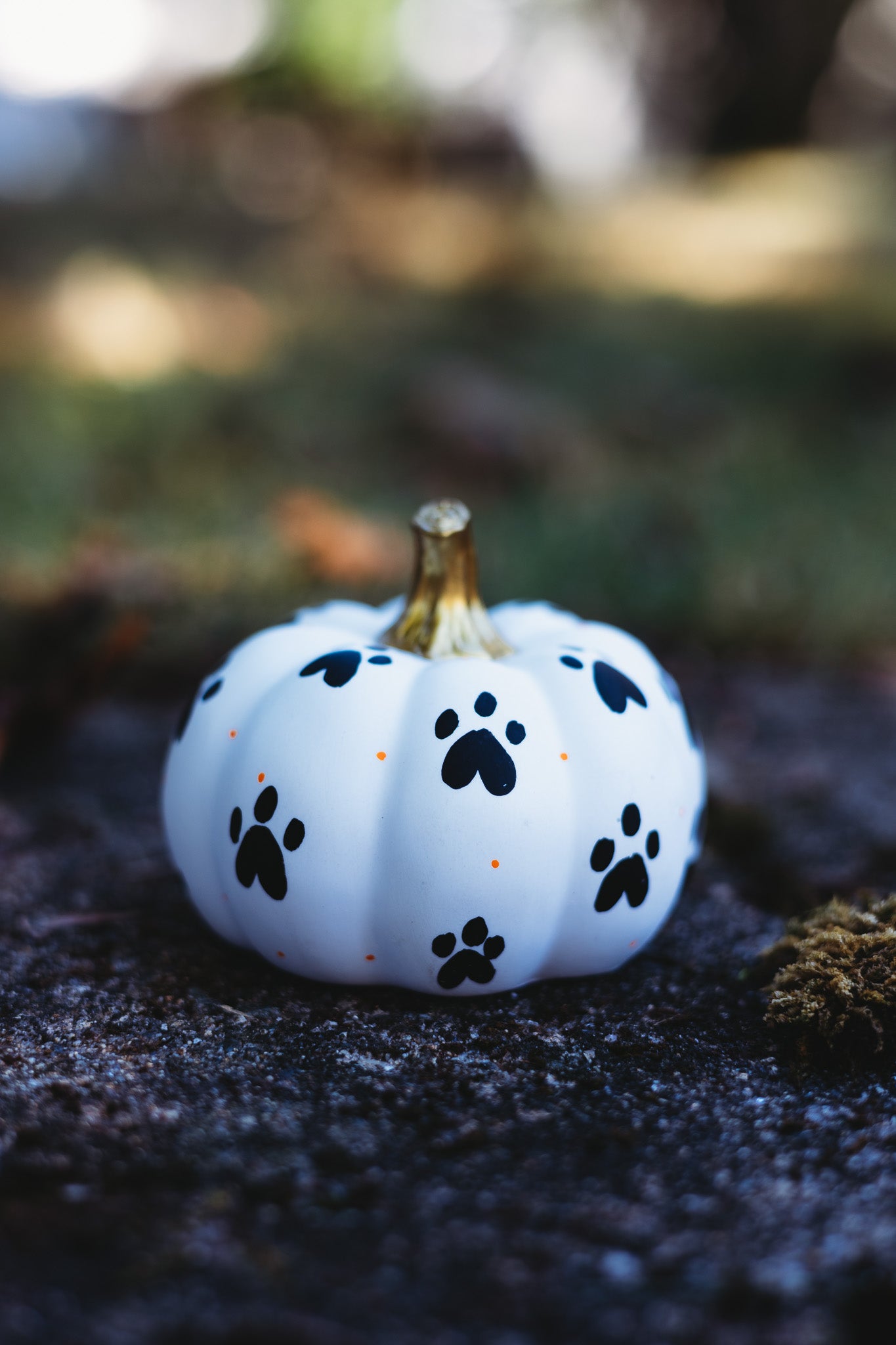Paw Print Medium Pumpkin