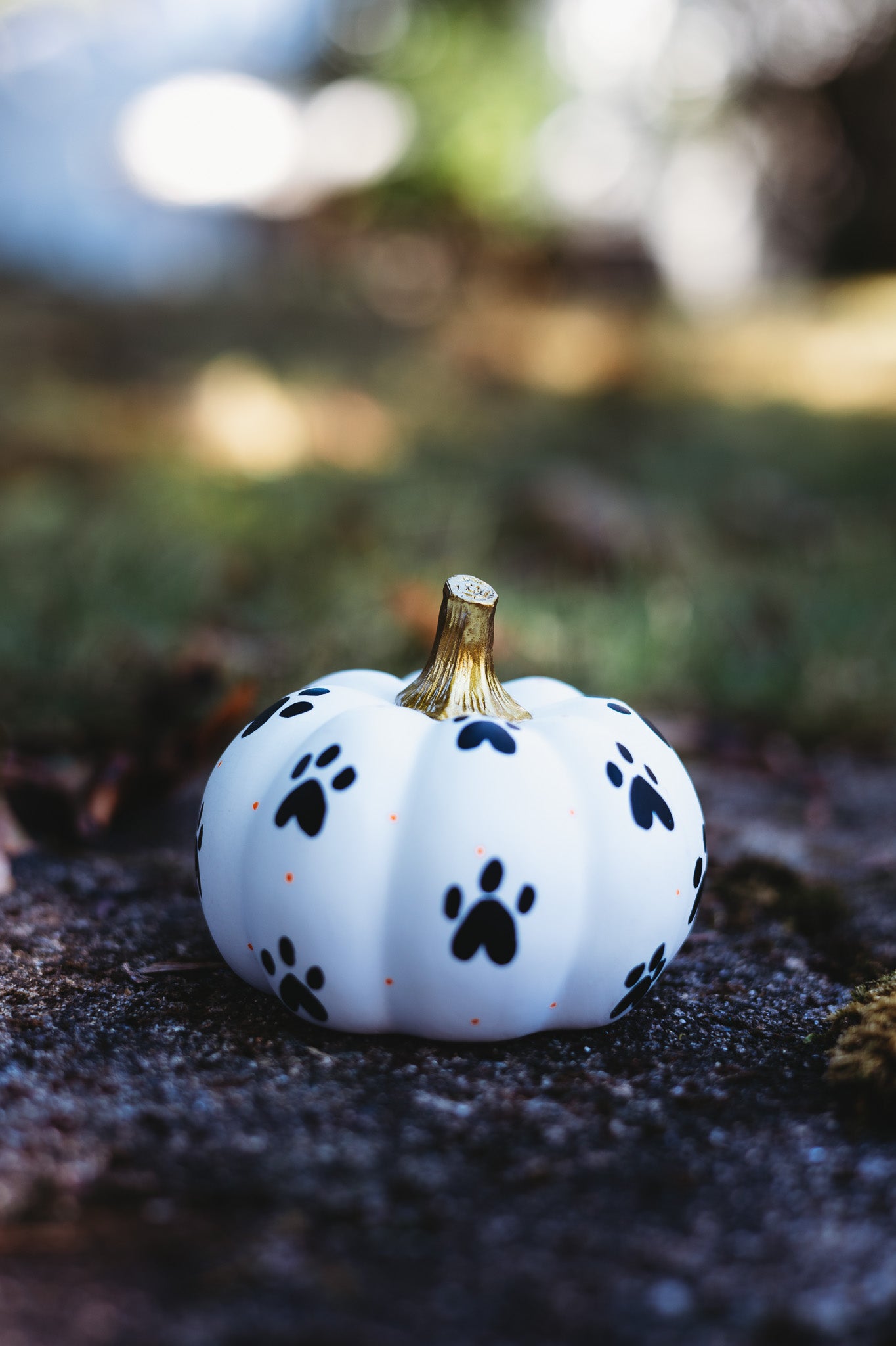Paw Print Medium Pumpkin