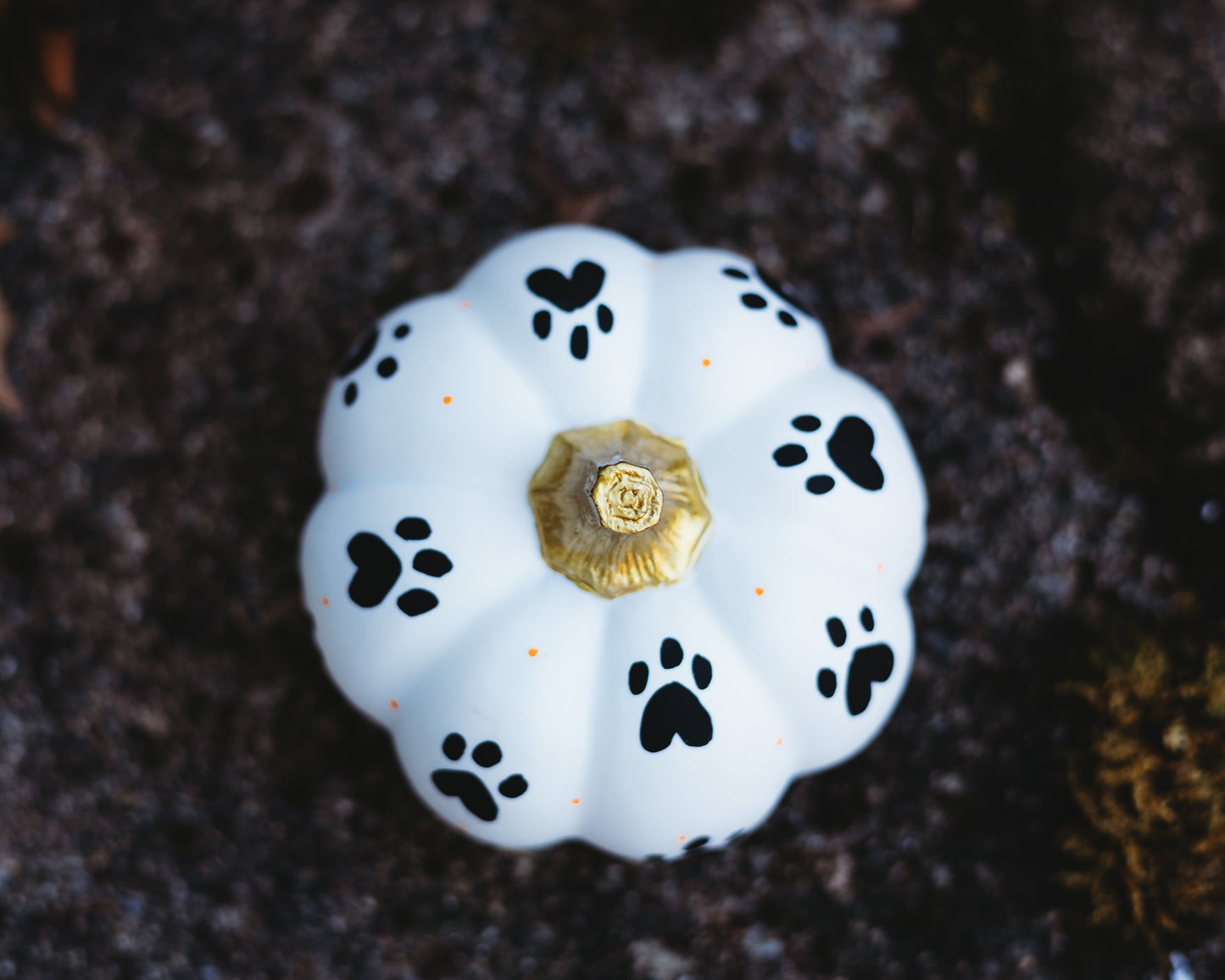 Paw Print Medium Pumpkin