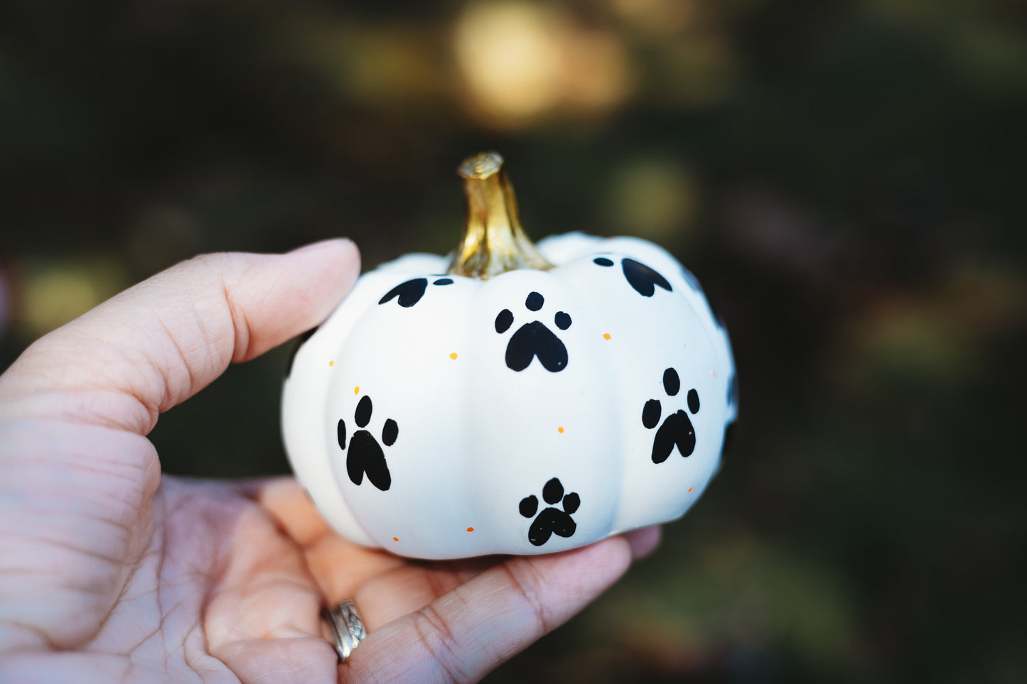 Paw Print Medium Pumpkin