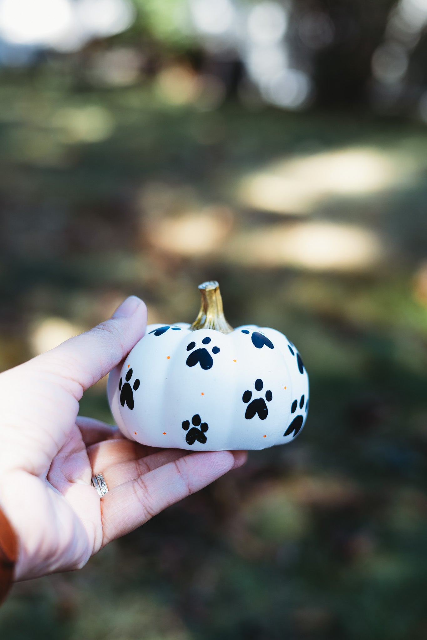 Paw Print Medium Pumpkin