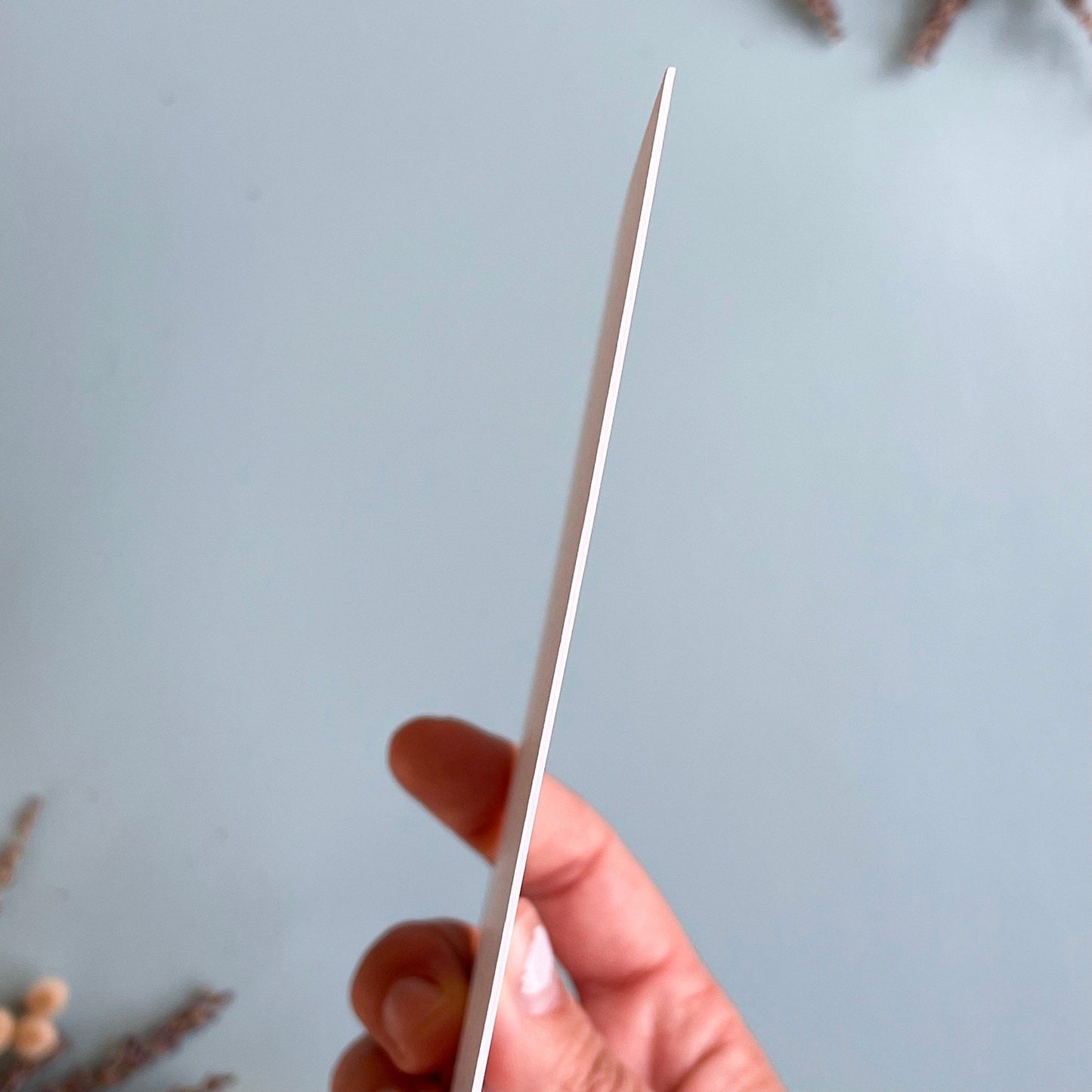 Female Torso Pen and Ink Print