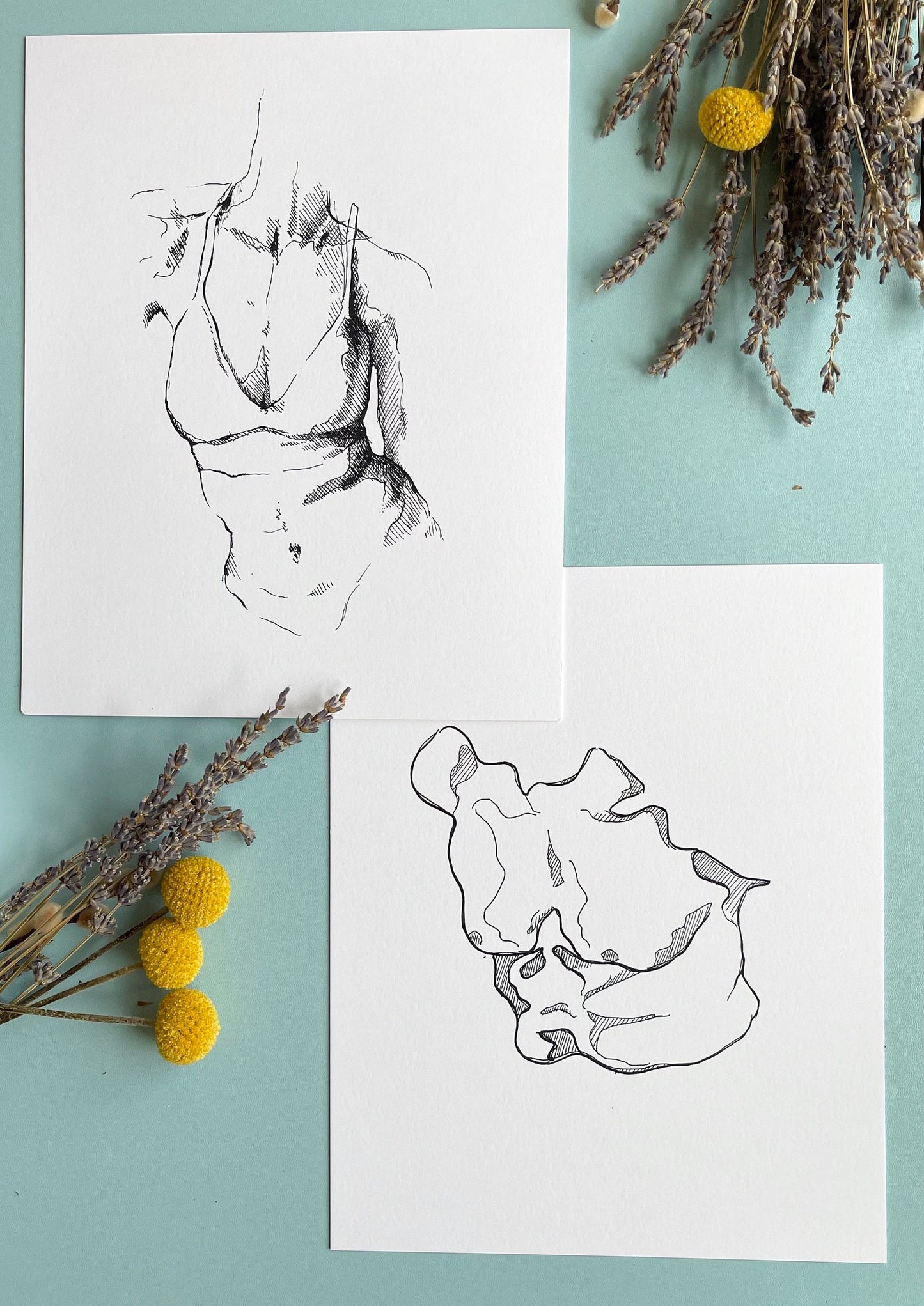 Female Torso Pen and Ink Print