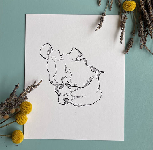 Male Torso Art Print