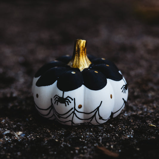 Spooky Black Mini Pumpkin
