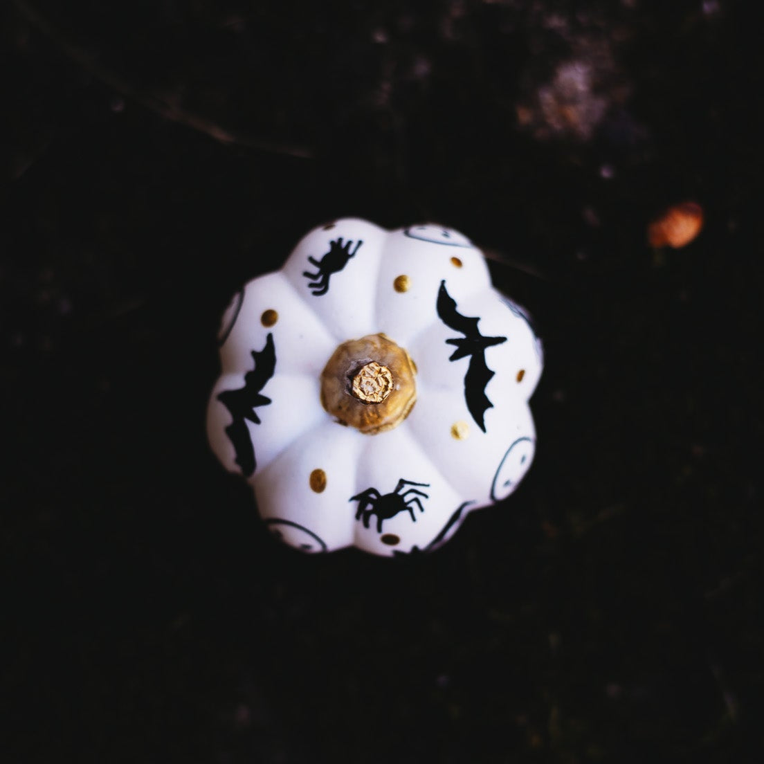 Spooky Black Mini Pumpkin