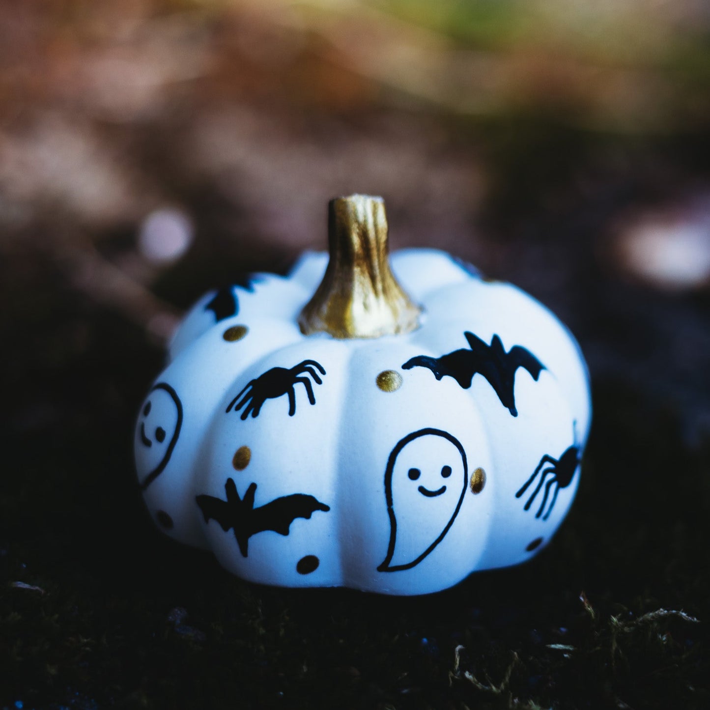 Spooky Black Mini Pumpkin