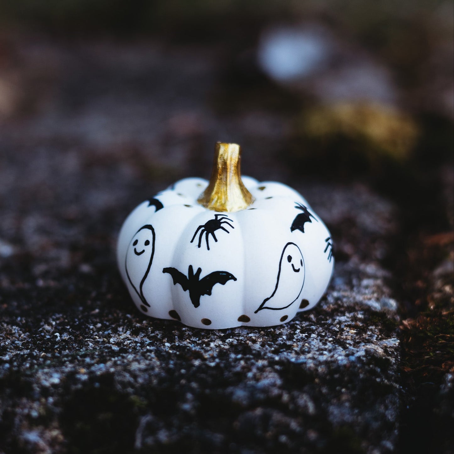 Spooky Black Mini Pumpkin
