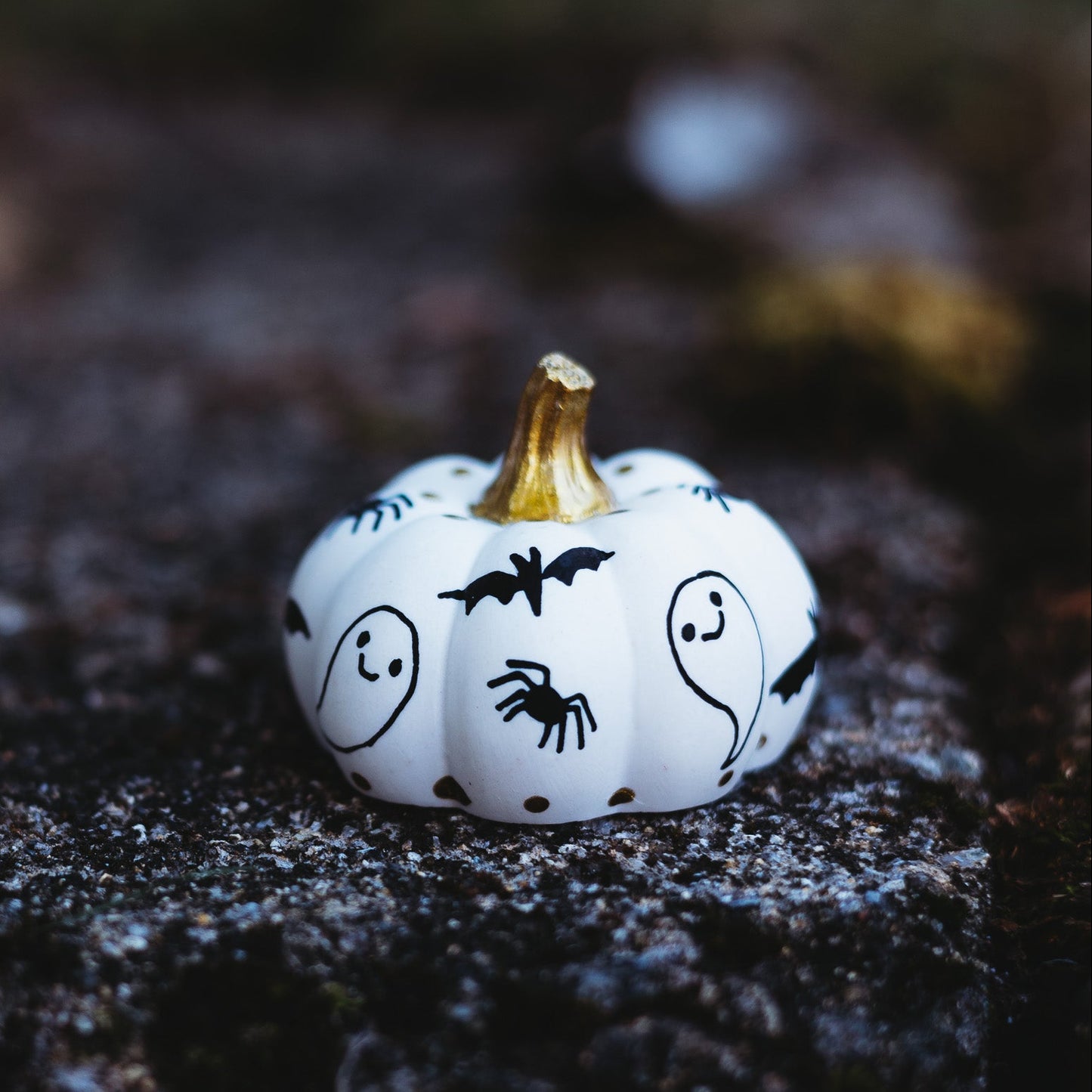 Spooky Black Mini Pumpkin