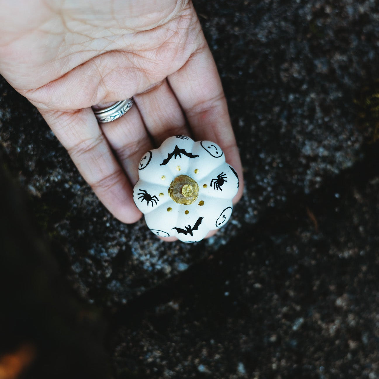 Spooky Black Mini Pumpkin