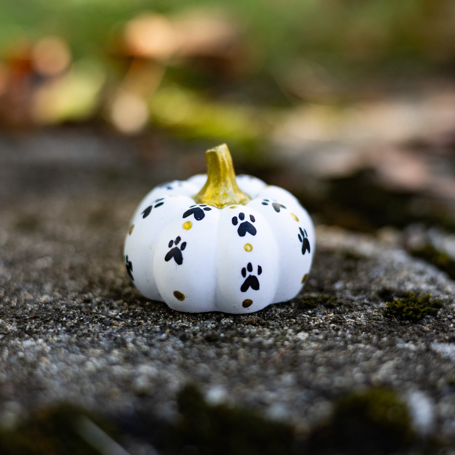 Paw Print Mini Pumpkin