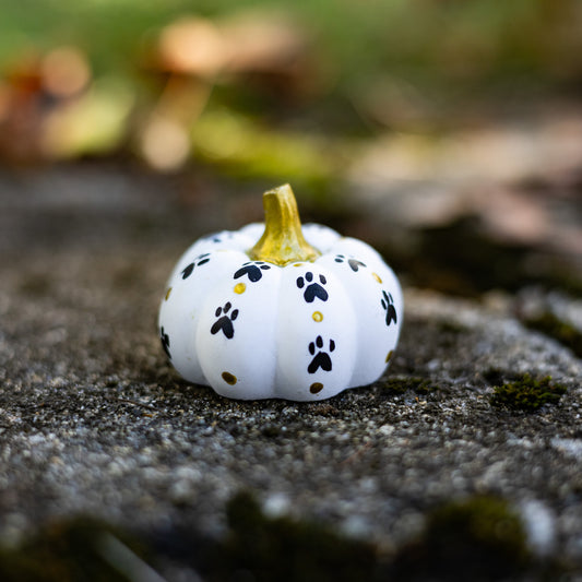 Paw Print Mini Pumpkin