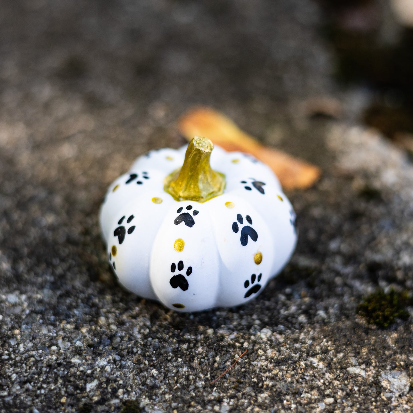 Paw Print Mini Pumpkin