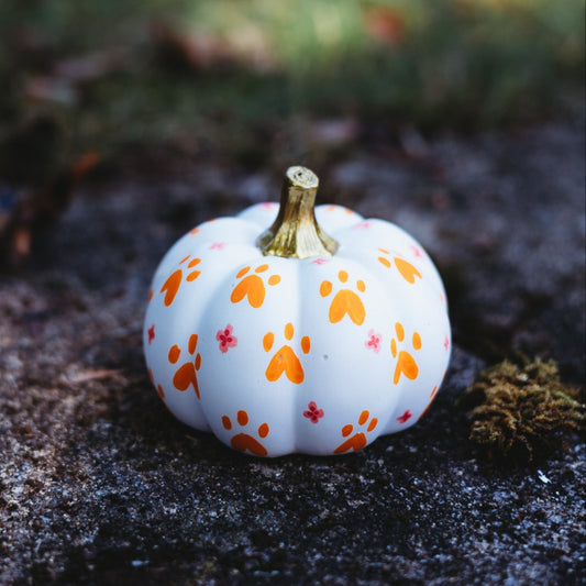 Paw Print Medium Pumpkin