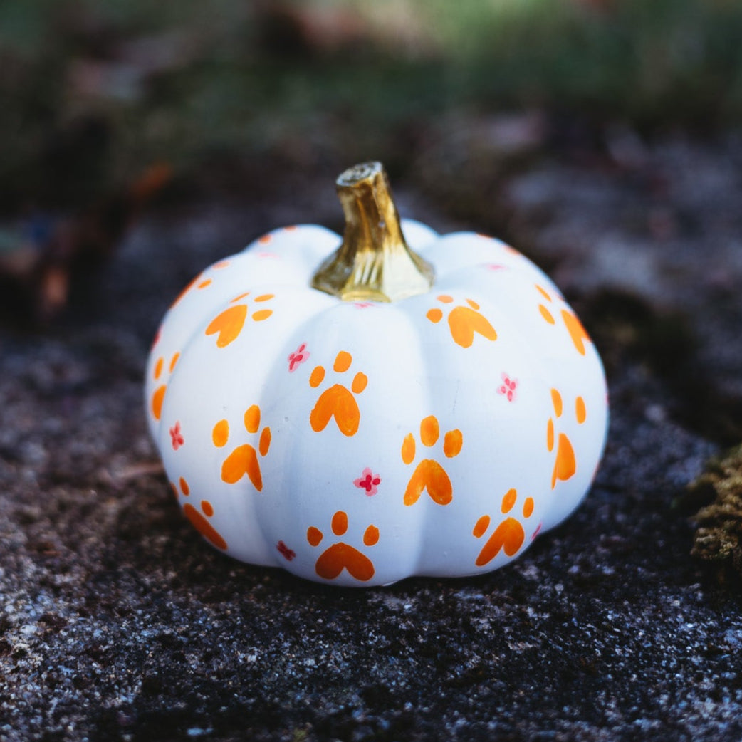 Paw Print Medium Pumpkin