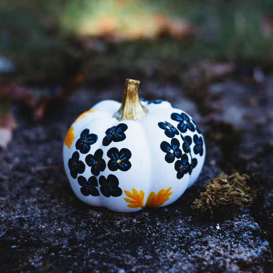 Black Hydrangea Medium Pumpkin