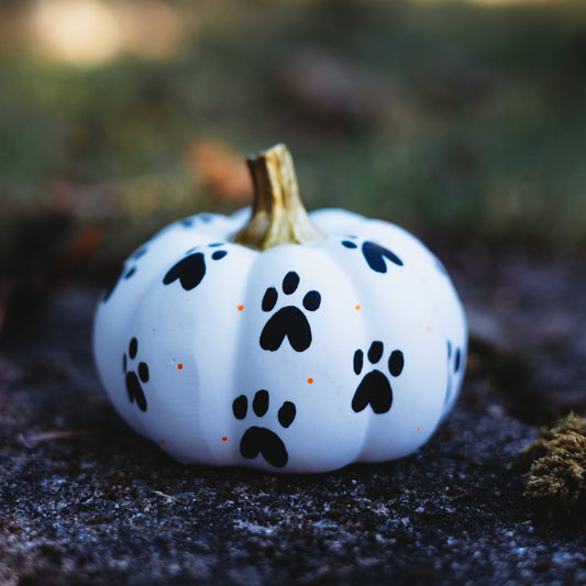 Paw Print Medium Pumpkin