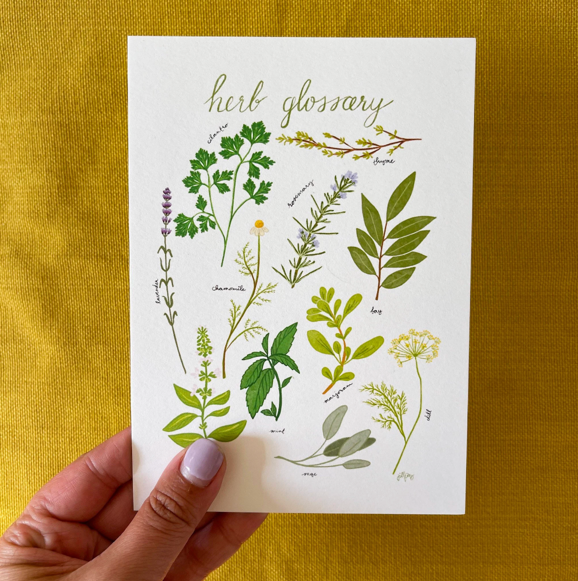 Herb Glossary Print