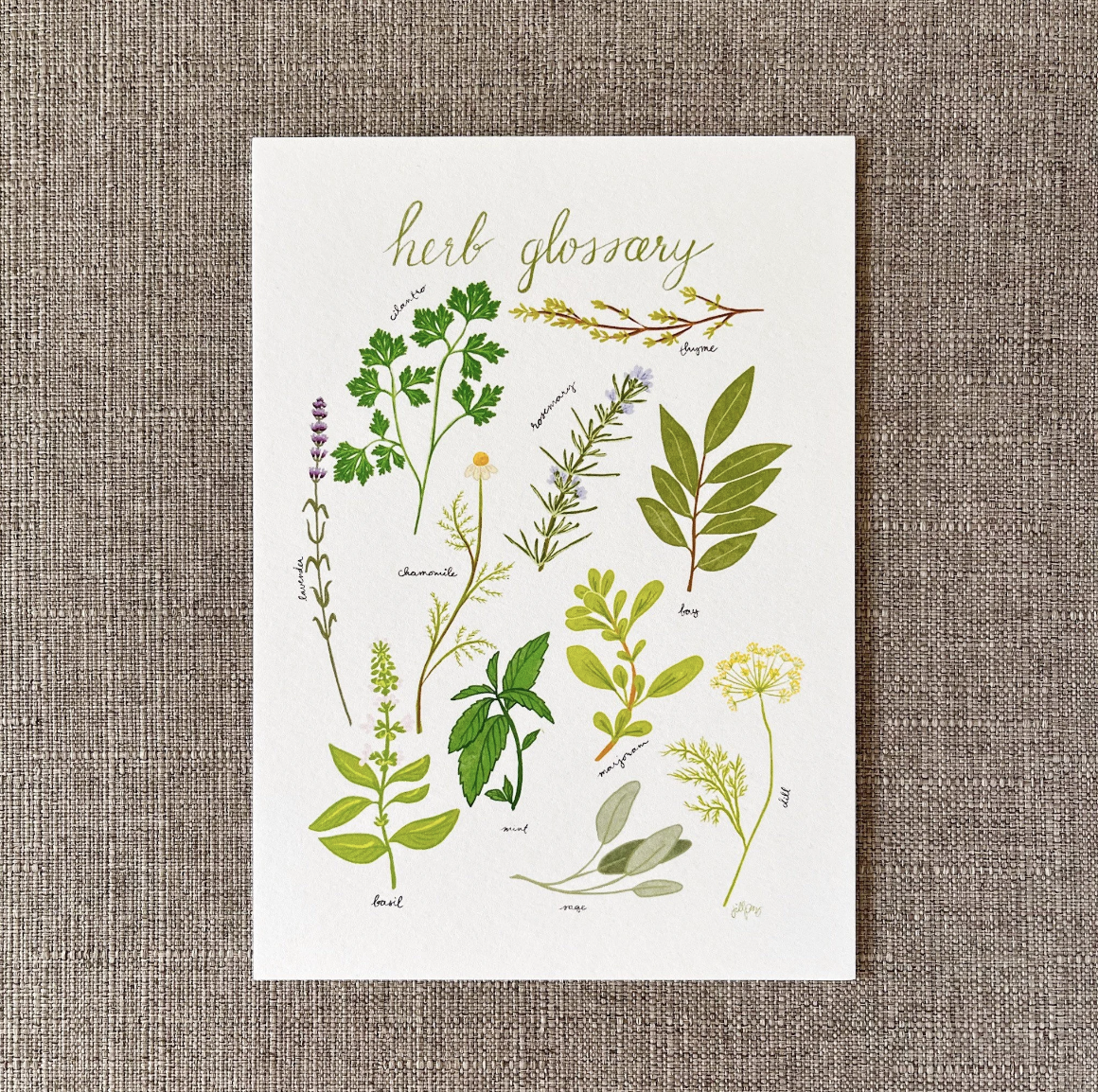Herb Glossary Print